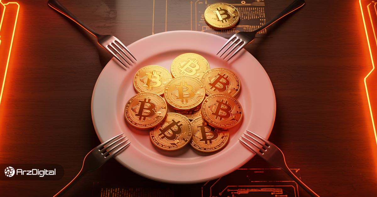 فورک-بیت-کوین-چیست؟-بررسی-مهم‌ترین-فورک-های-بیت-کوین
