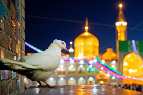 فیلم-۱۰۰-ثانیه‌ای-نزدیک‌تر-در-سالروز-ولادت-امام-رضا-(ع)-منتشر-شد