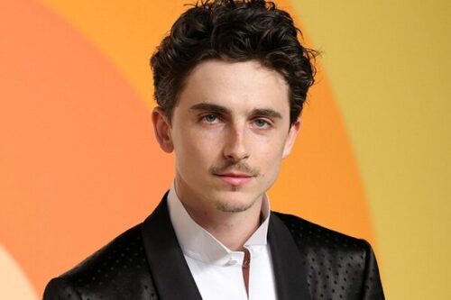 اسکار-ایتالیا-به-تیموتی-شالامه-جایزه-میدهد