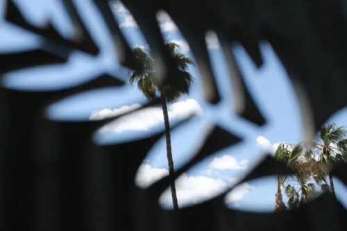 ۲۵-نکته-از-جشنواره-فیلم-کن-۲۰۲۵؛-از-ستاره‌ها-و-داوران-تا-تجلیل‌ها