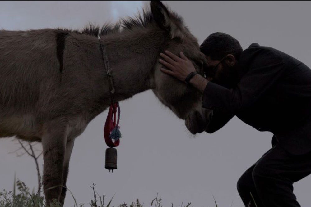 چرا-کارگران-کارخانه،-خر-یکی-از-روستاییان-زنجانی-را-خوردند!
