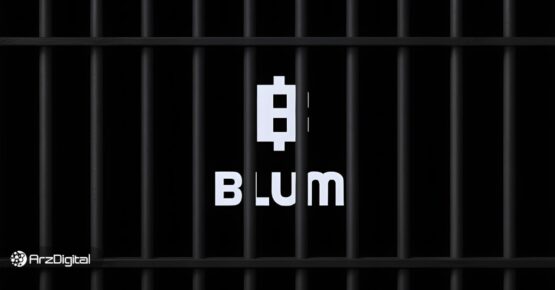 دستگیری-بنیان‌گذار-پروژه-بلوم-در-روسیه!-سرنوشت-ایردراپ-توکن-blum-چه-می‌شود؟