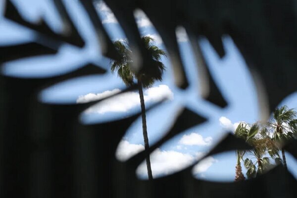 از-نگاه-منتقدان-کن-فیلم-پناهی-دوم-شد!