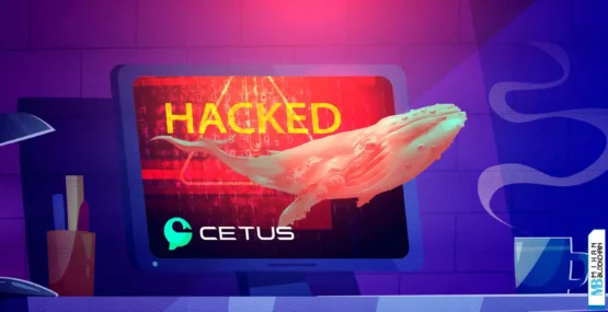 کالبدشکافی-حمله-به-دکس-cetus؛-باگ-ریاضی-که-اکوسیستم-sui-را-به-زانو-درآورد!