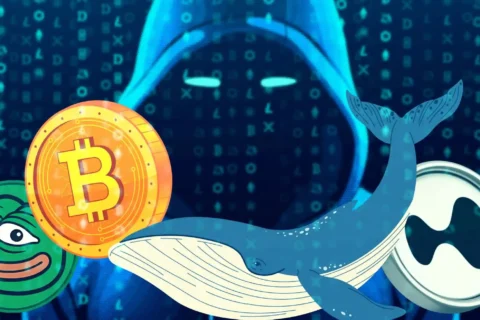 جیمز-وین-و-ضرر-۱۰۰-میلیون-دلاری-در-پی-اصلاح-بیت-کوین!