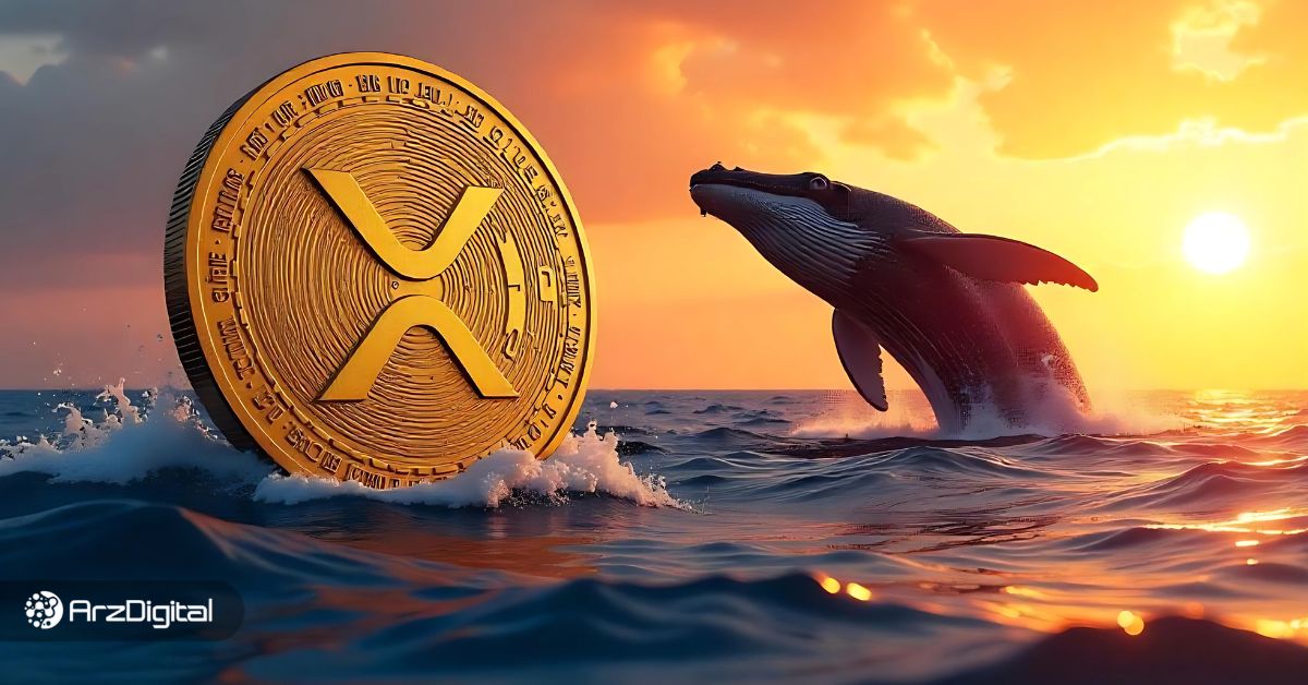 سناریوهای-قیمت-ریپل-در-ماه-ژوئن؛-نهنگهای-xrp-چه-برنامهای-در-سر-دارند؟