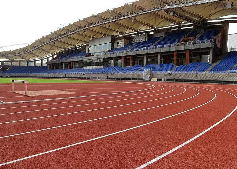 رسیدگی-به-اتهامات-ورزشکاران-به-تعویق-افتاد/-آخرین-خبر-از-وضعیت-دوومیدانی-کاران-ایرانی-در-کره