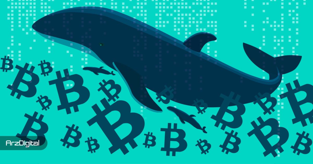 نهنگهای-بیت-کوین-چه-چیزی-را-میبینند-که-از-چشم-ما-پنهان-است؟-نحوه-خواندن-حرکات-والها