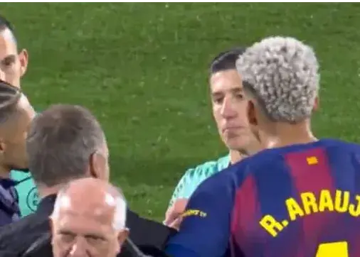 رافینیا،-آرائوخو-و-فلیک-سر-داور-خراب-شدند!